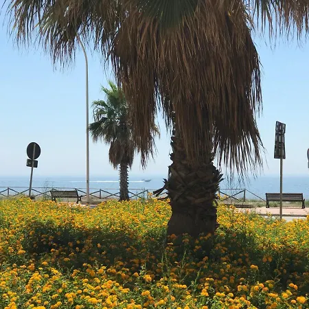 Mariposa מרסאלה